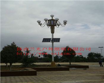 中華燈-甘肅省平?jīng)鍪徐`臺縣太陽能路燈項目