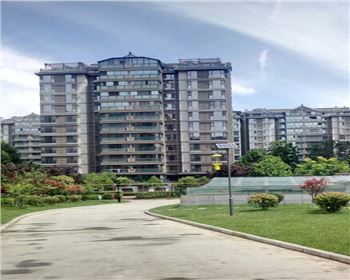 太陽(yáng)能殺蟲燈-陜西省西安市曲江南湖小區(qū)路燈項(xiàng)目